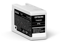 Original Tintenpatrone Epson C13T46S100/T46S1 schwarz